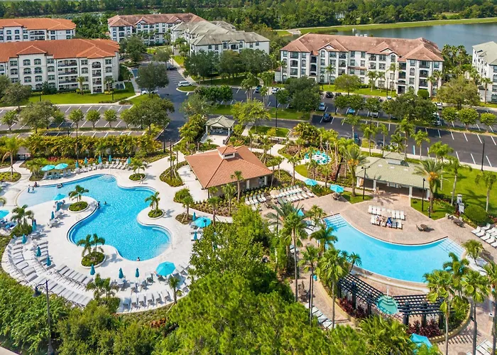 Florida Palms