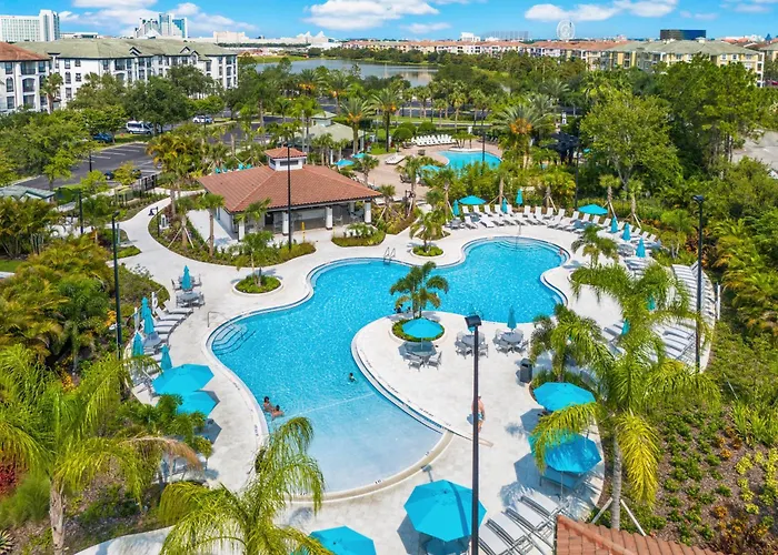 Florida Palms