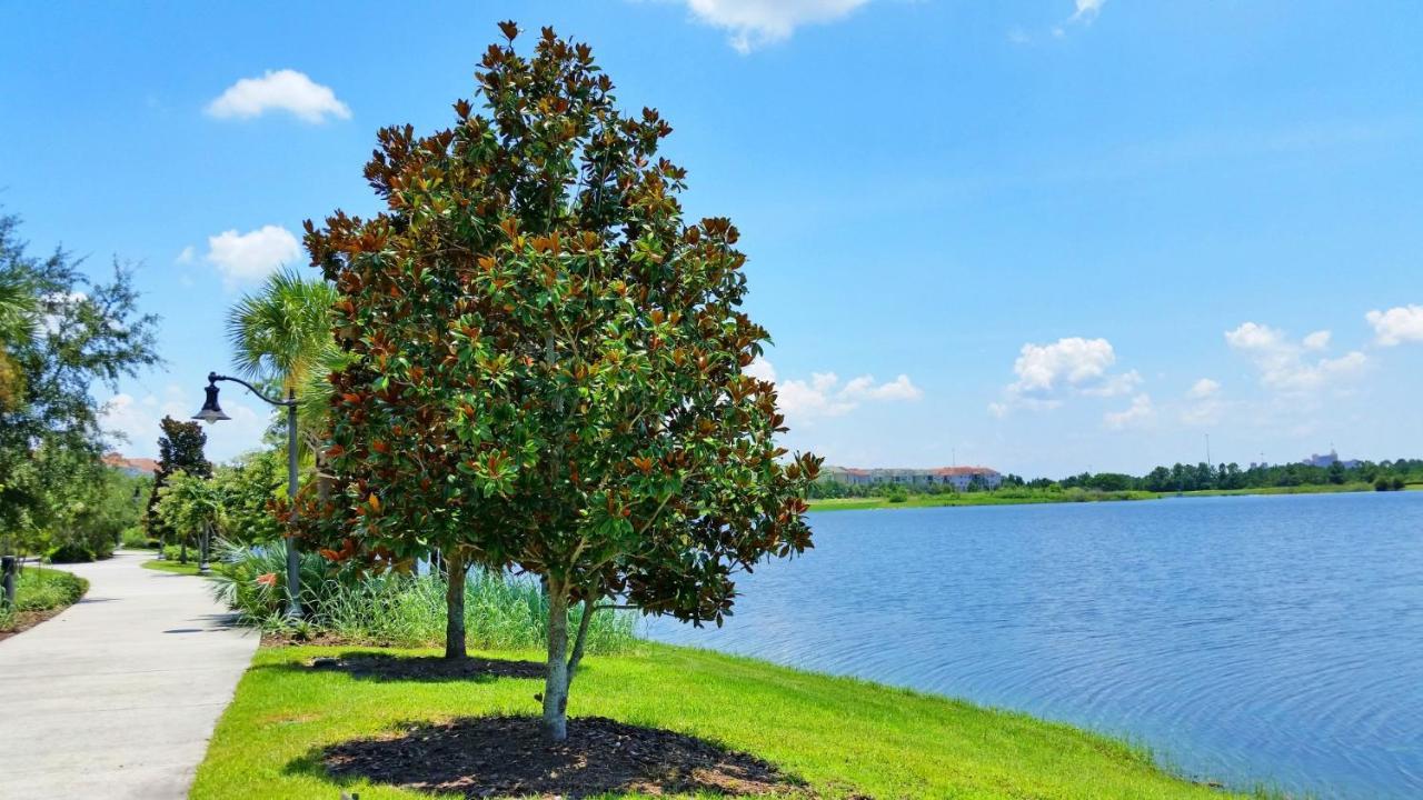 Holiday home Florida Palms Orlando