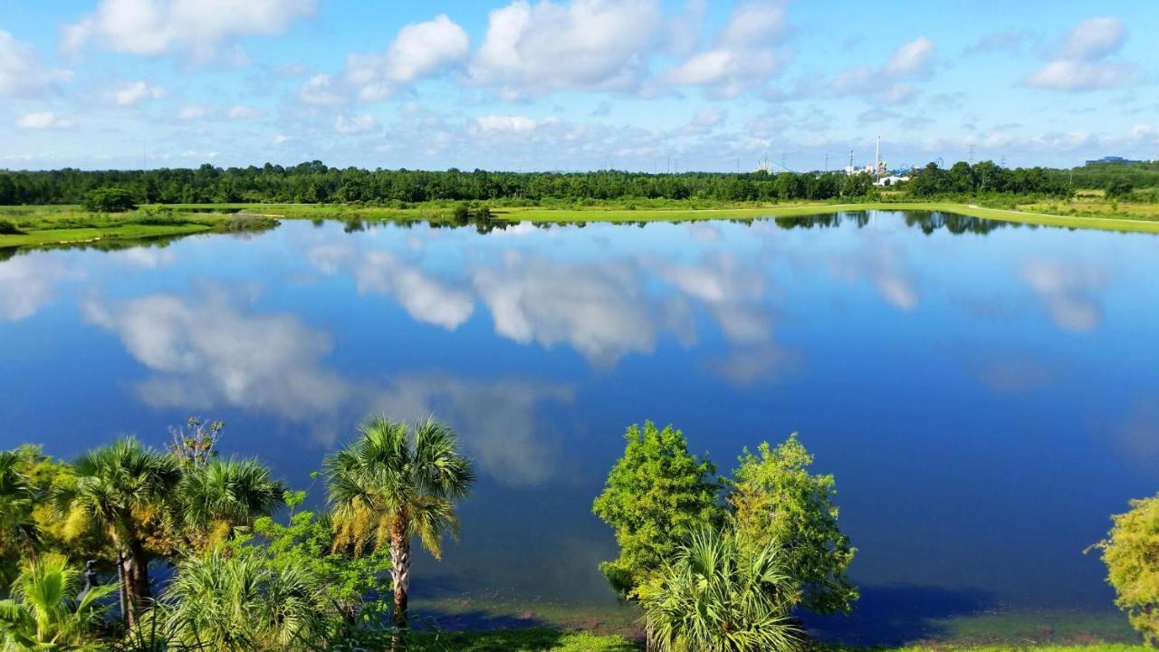 Holiday home Florida Palms Orlando