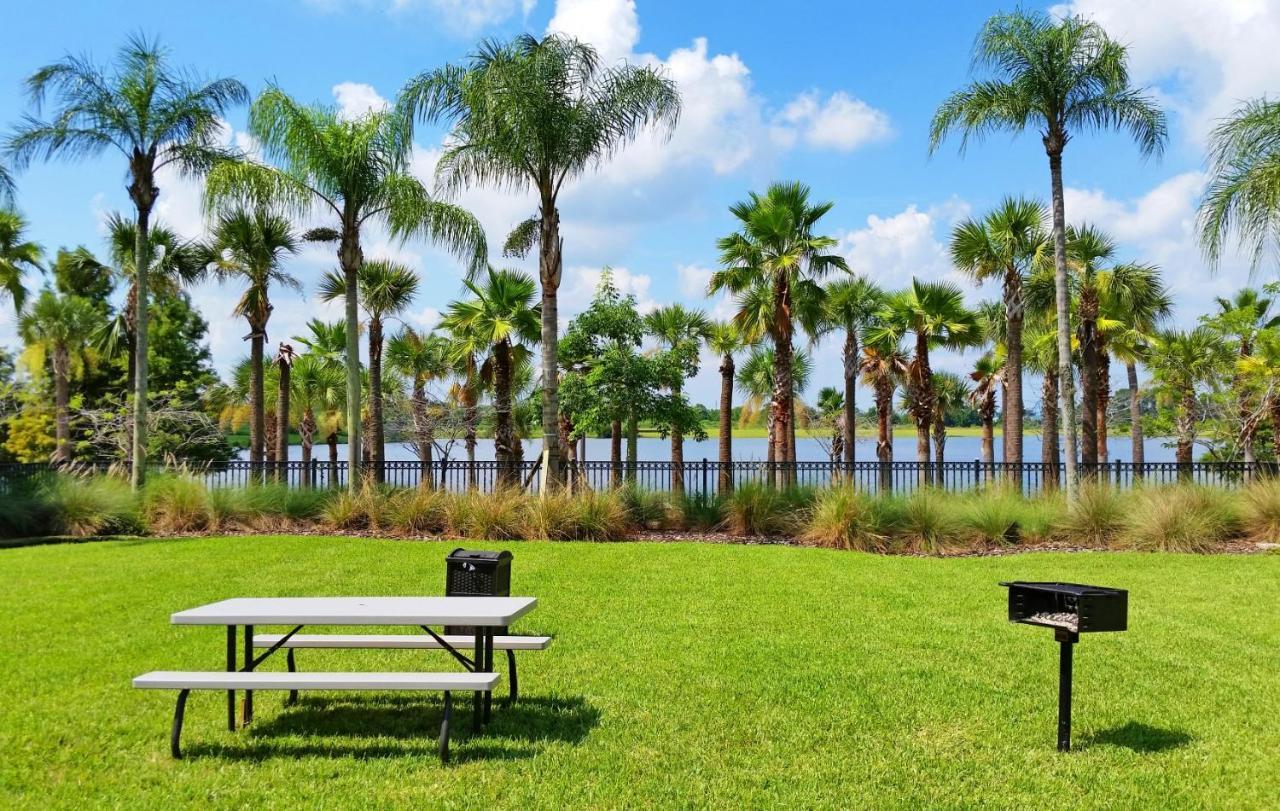 Florida Palms * Orlando