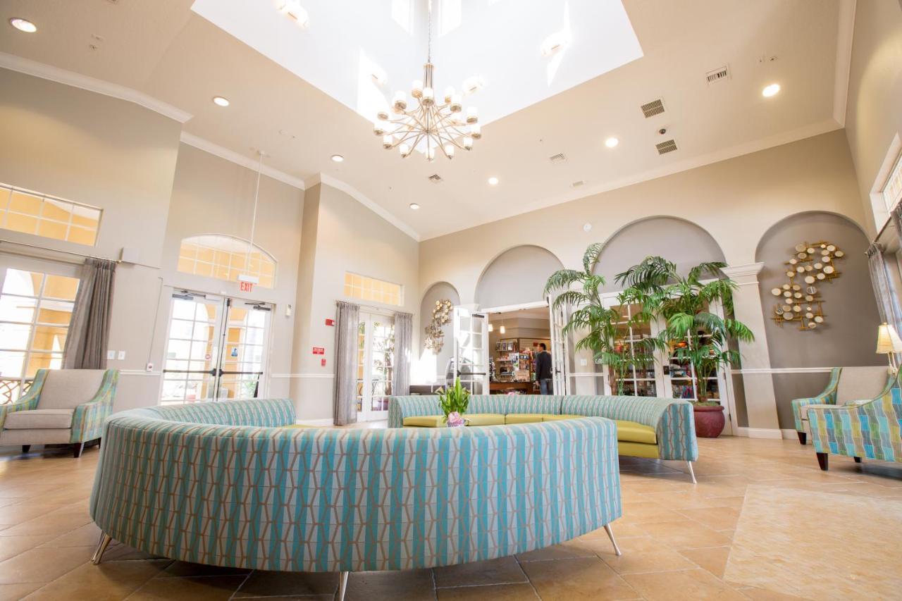 Florida Palms * Orlando