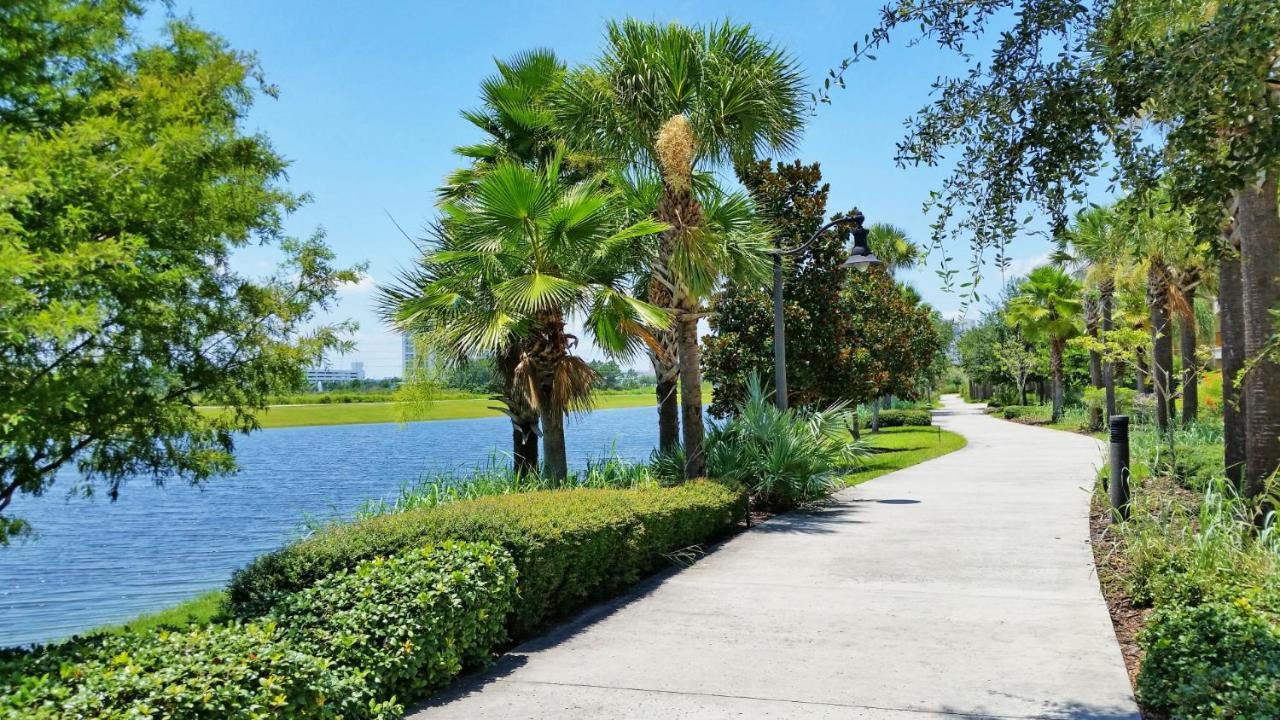 Florida Palms * Orlando