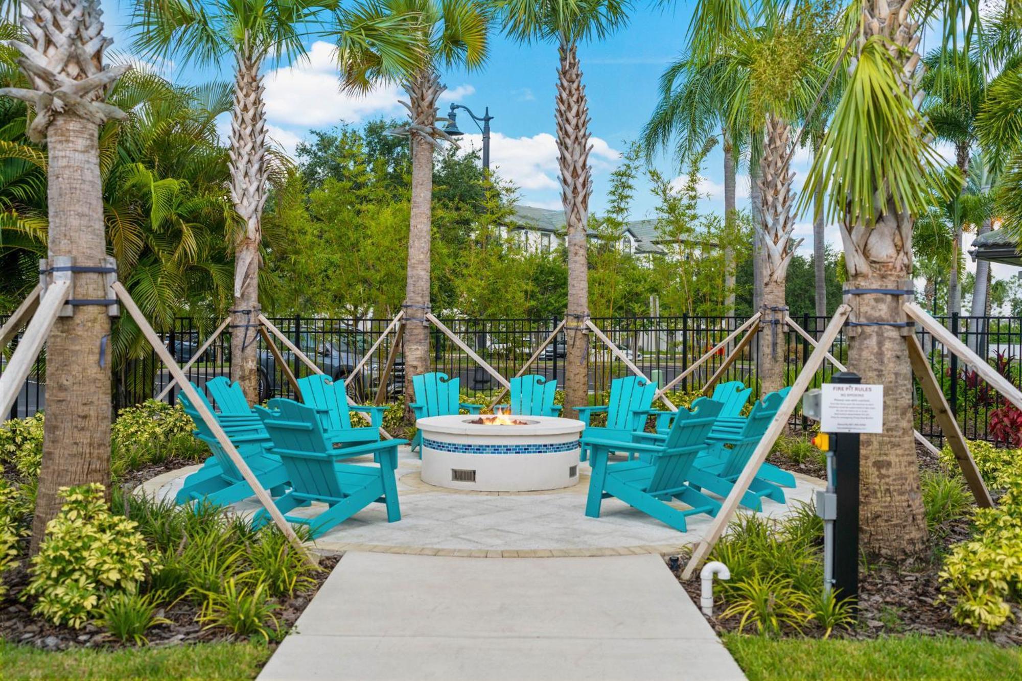 Florida Palms *