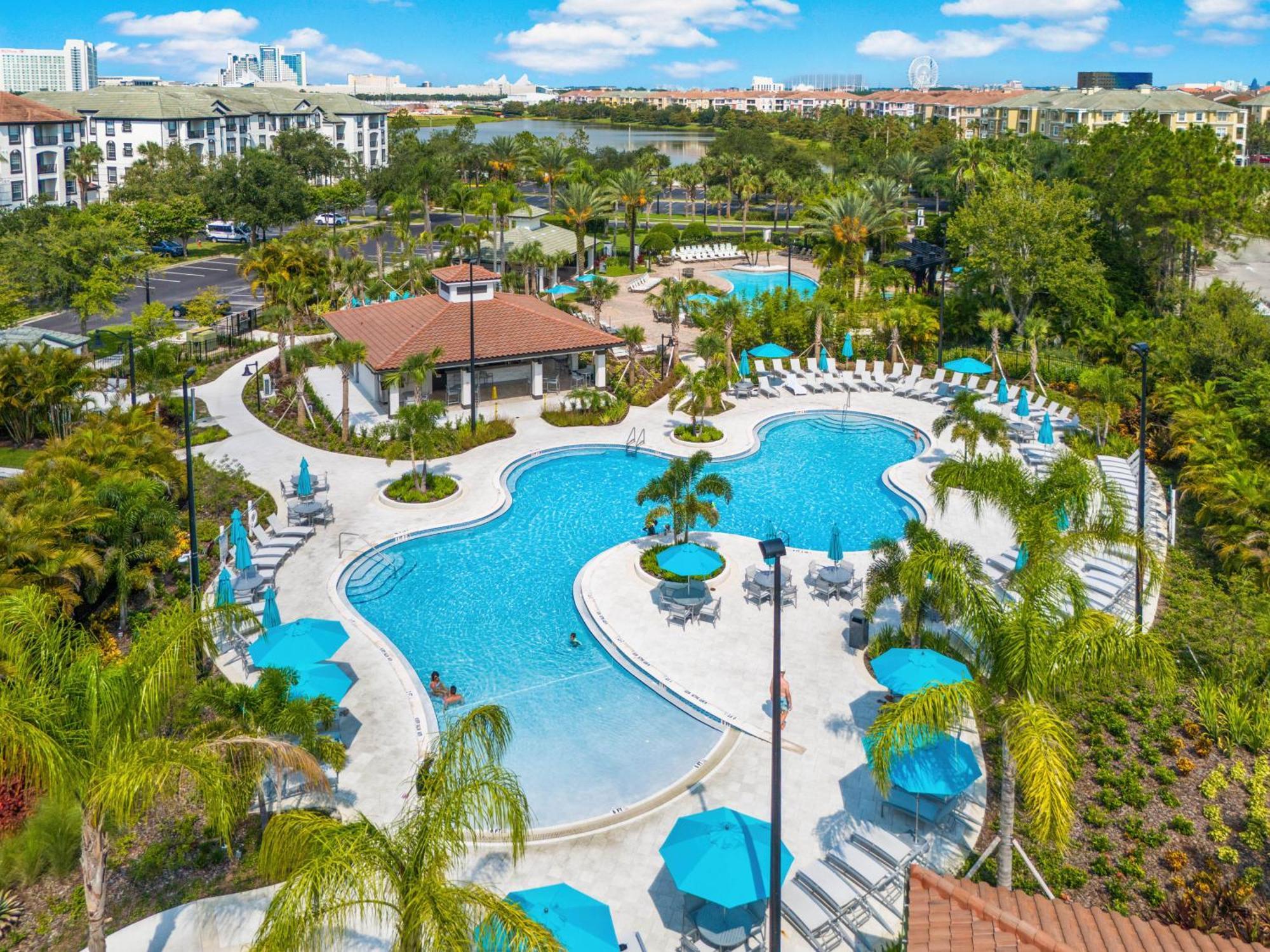 Florida Palms