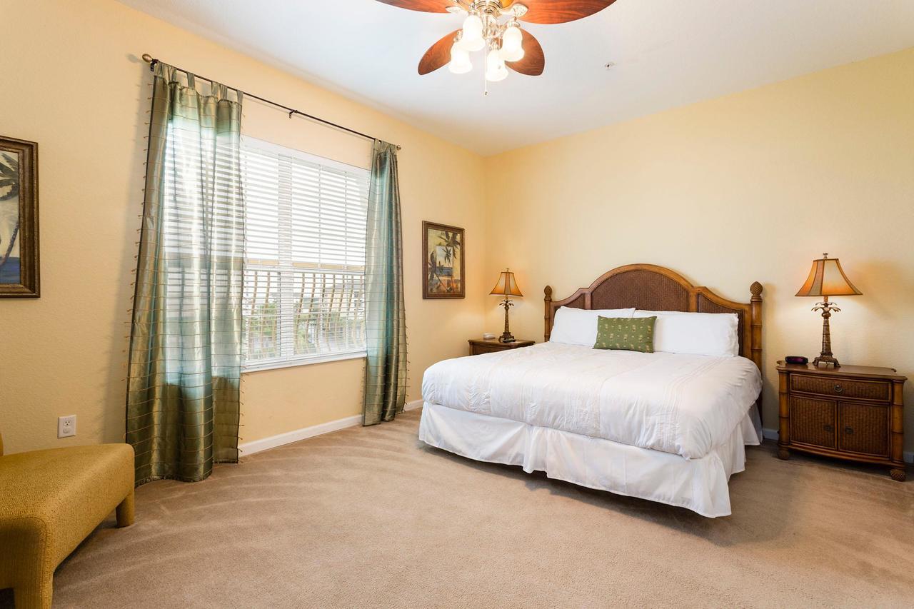 Florida Palms * Orlando